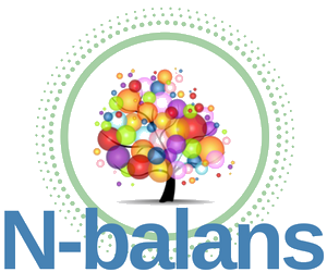 N-balans